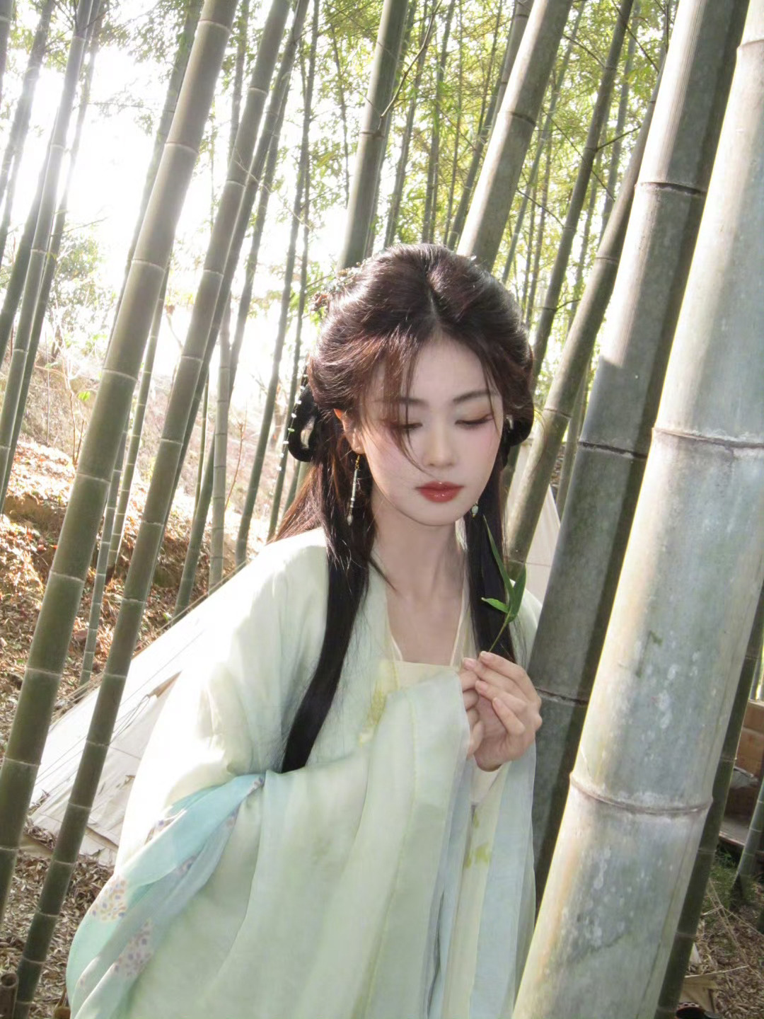 白梦妍请你交出你的壁纸！！！只有白鹿一个人自恋