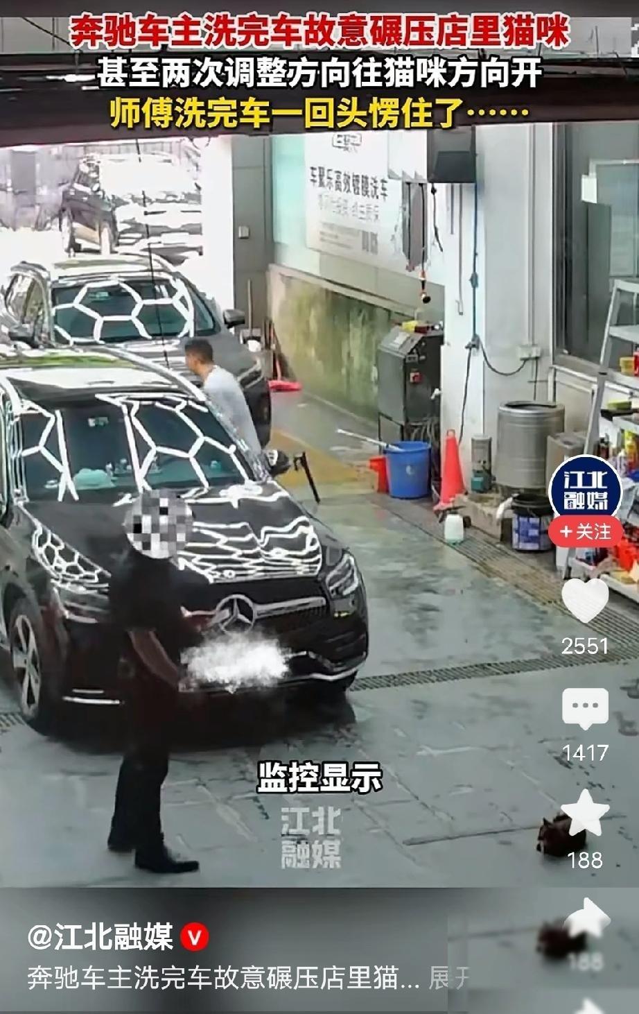 广东，男子开着奔驰车去清洗，准备离开时，突然看到地上趴着一只母猫，他接下来的操作