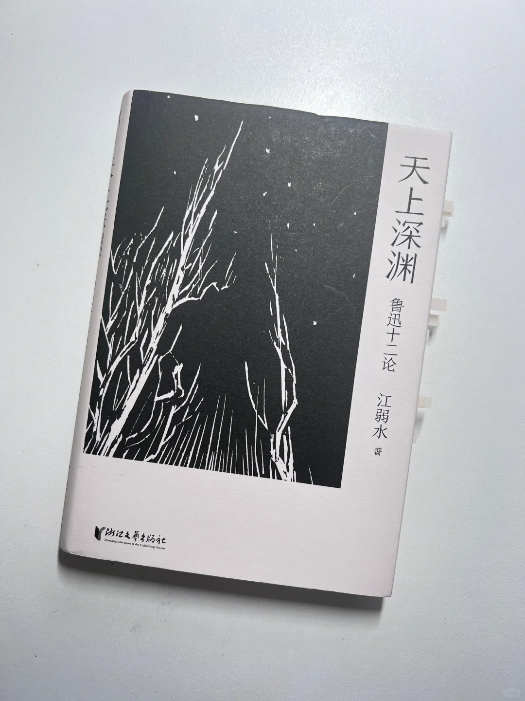 看完后，鲁迅的“伟大”从此具像化了