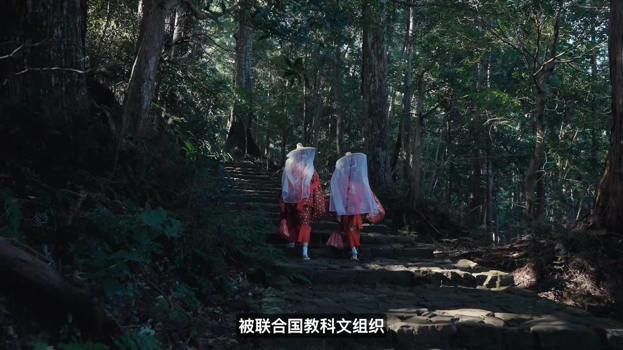 去年 11 月拍的华为Ultimate2 熊野古道