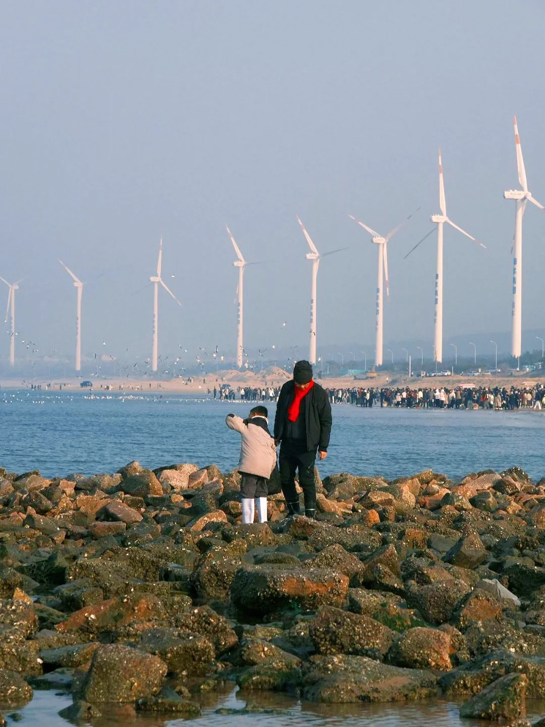 暑假带娃去青岛避暑，谁懂21℃的海边多爽