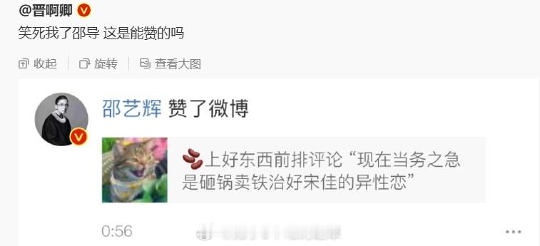 看得出来邵艺辉导演真的不喜欢假人了全身上下都是活人感你有这么活的导演进入影圈就一