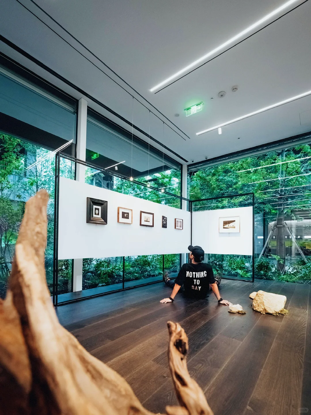 魔都探展丨打卡被森林环绕的摄影展🍃太出片