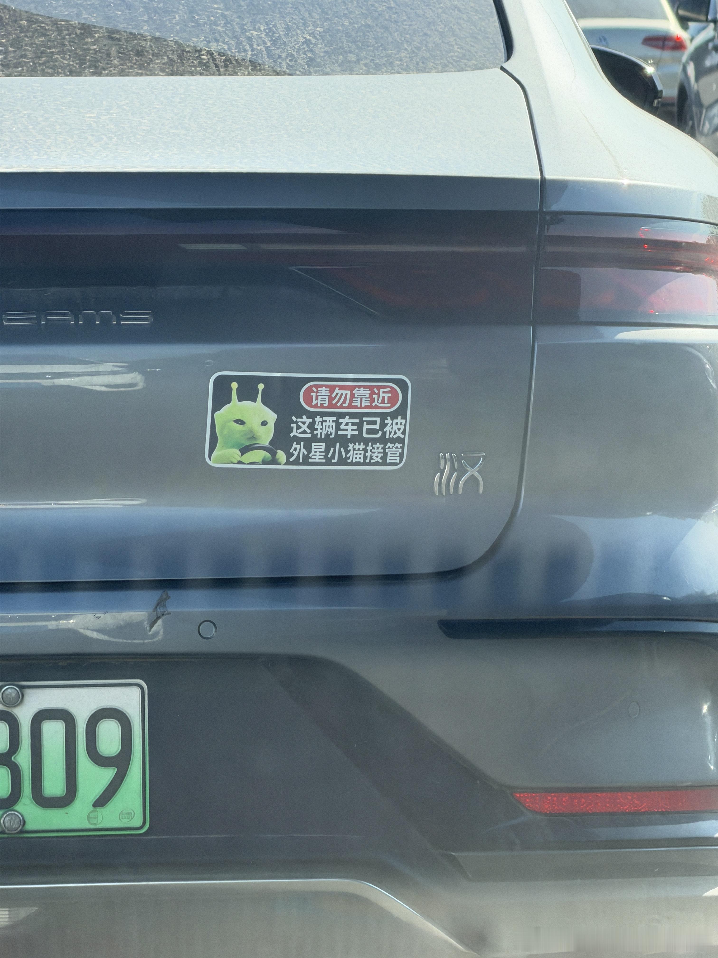感觉外星小猫倒车不太会看探头 北京