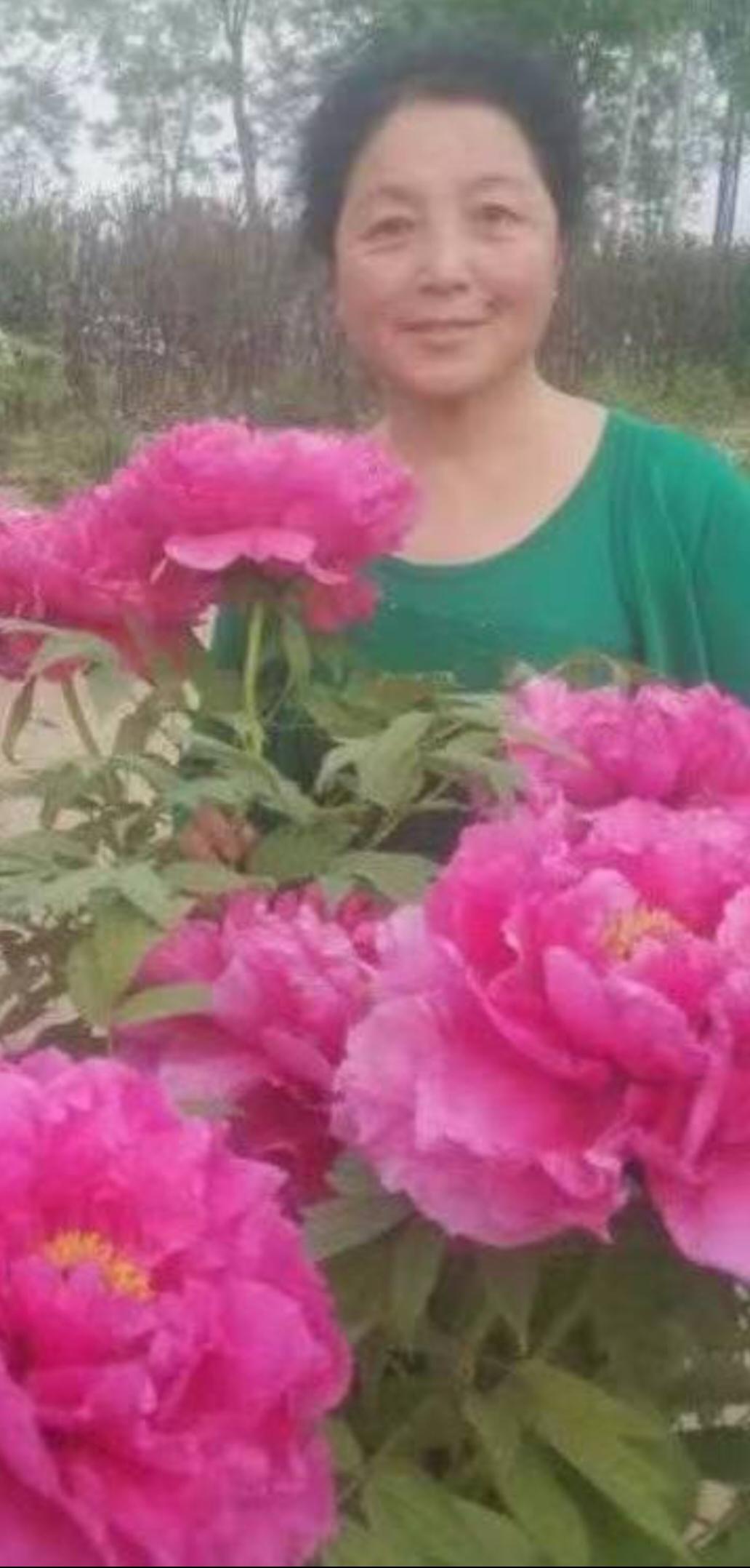 看看身边的好风景，心情舒畅，日子安稳。
人到晚年，不求大富大贵，
只求身体硬朗，