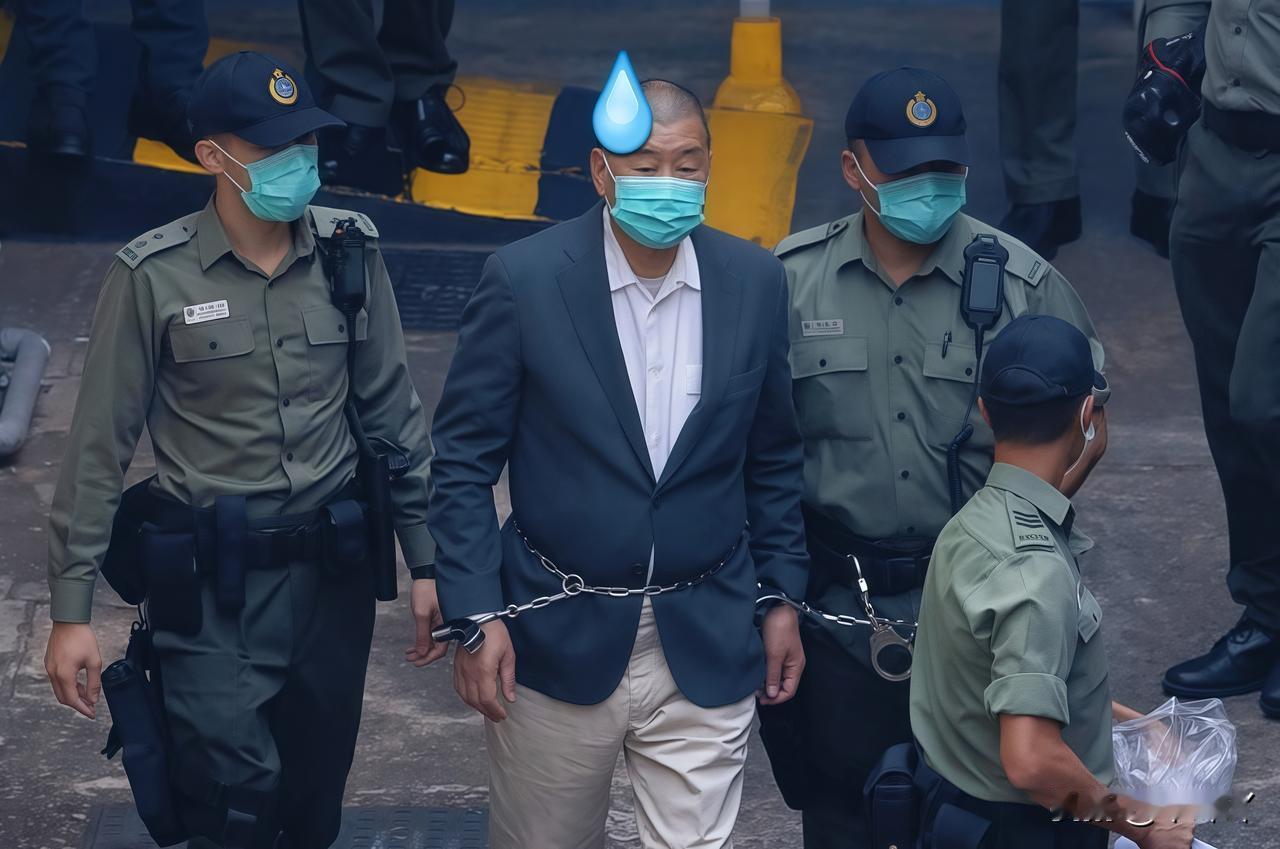 就在定罪当天！
西方多国及欧盟代表到场撑腰
12月15日，香港特区高等法院裁定黎