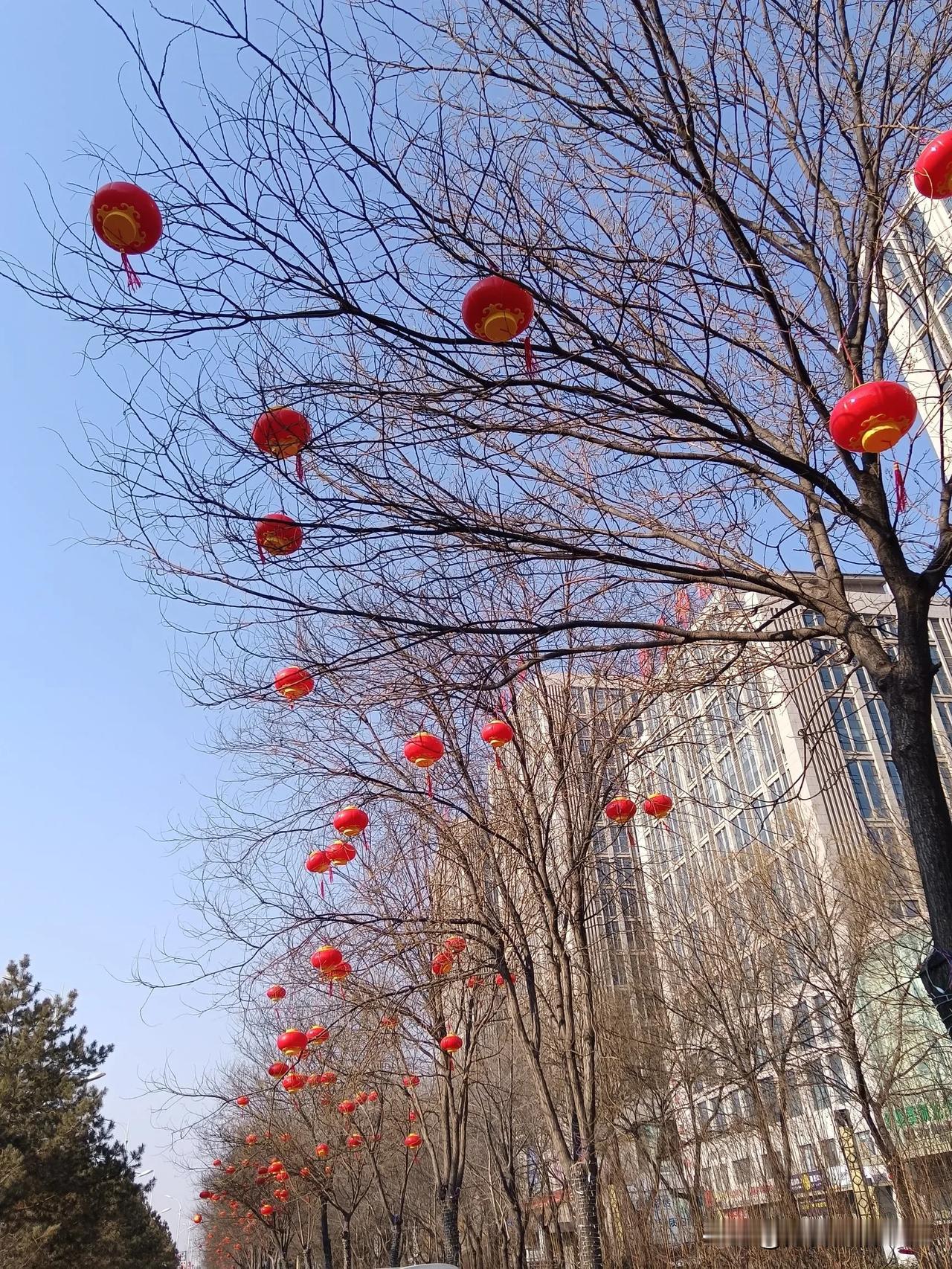 年味渐浓——节前随拍。

春节的脚步一步步地向我们走来，街头树枝枝头上挂满了一盏