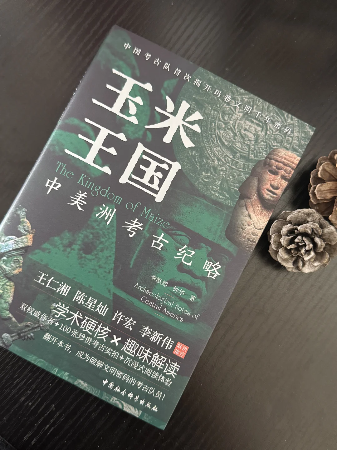 这本关于神秘玛雅文明的书太惊艳我了！