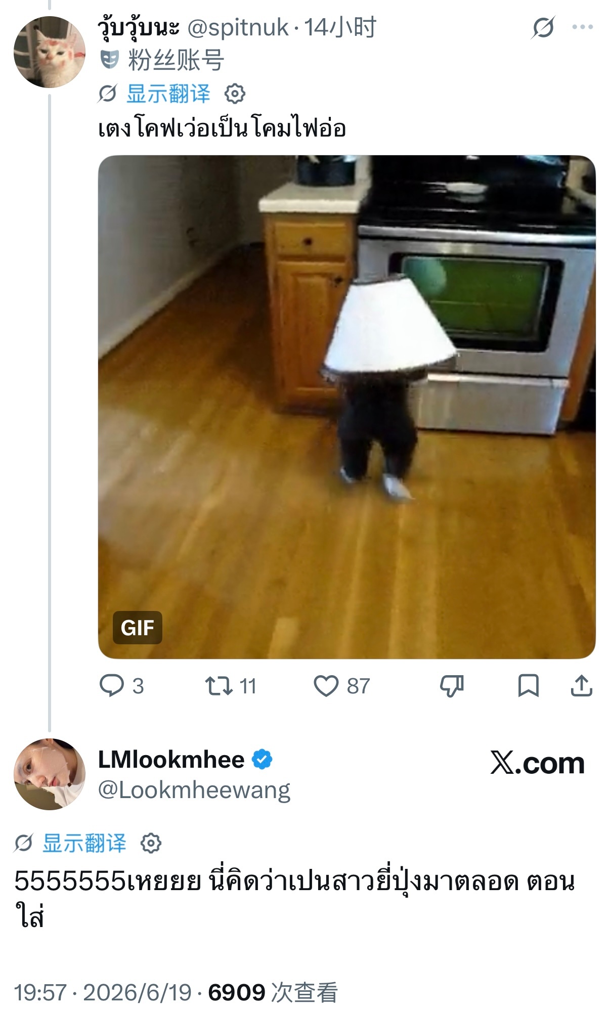 💬：宝，你这是在 cos（模仿）灯罩吗？🐨：555555（哈哈哈哈）哎呀——