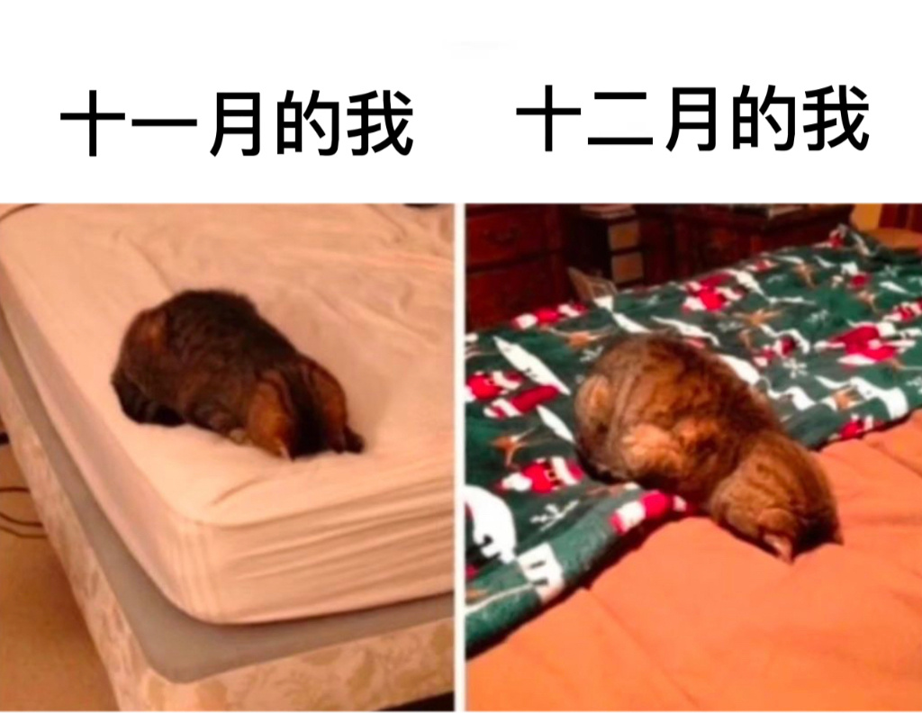 更有氛围#今日memes# //#v笑年度大赏# ​​​