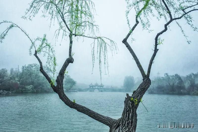 看到“柳问闲云何处去；舟随流水此时回”这副对联，感觉意境超美。上联中柳树拟人化地