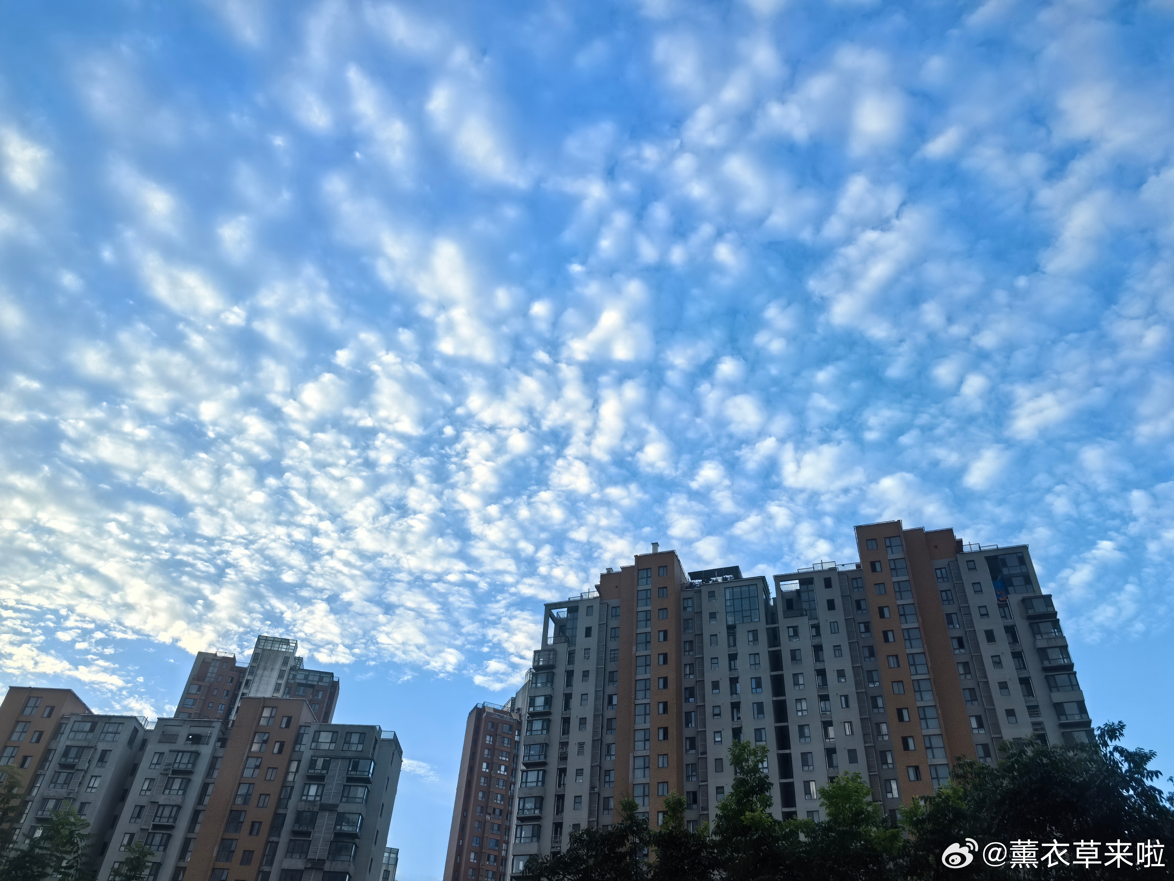 生活手记 起床第一件事就是在阳台看看今天天气如何，今天周六，我先吃点东西做会操，