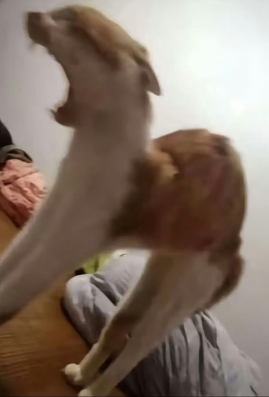 猫咪：v你50，把照片删了行吗[苦涩] 
