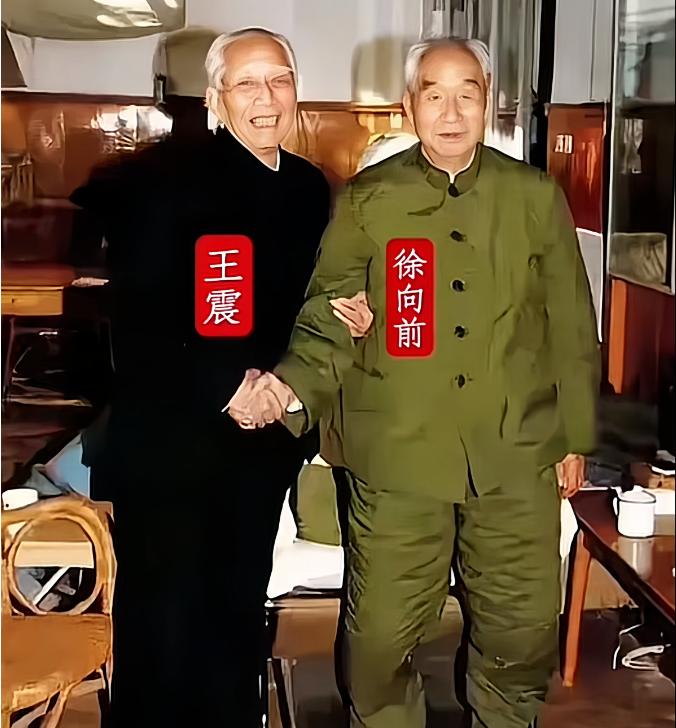 1990年，王震将军看望生病的徐向前时的照片，这也是他们这对老战友的最后一张合影