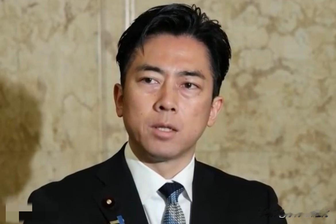 小泉进次郎又跳脚了！面对此番言论，理当如此回击：

日本政客开启碎碎念模式，紧咬