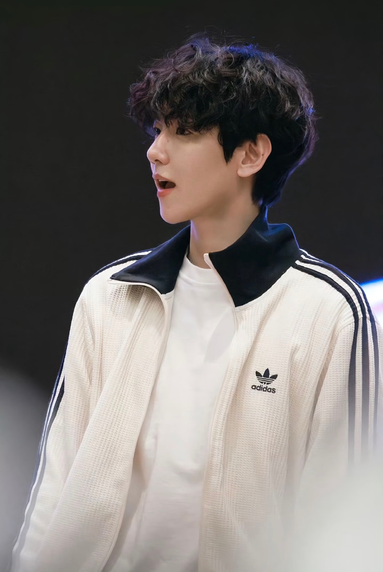 额额额恋狗癖犯了🧱此条带边伯贤0506生日快乐祝我哥哥生日快乐 抽两个5.6r