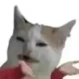 谁懂！女朋友长了张聪明脸总干些抽象的事