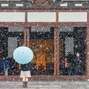看人间烟雨