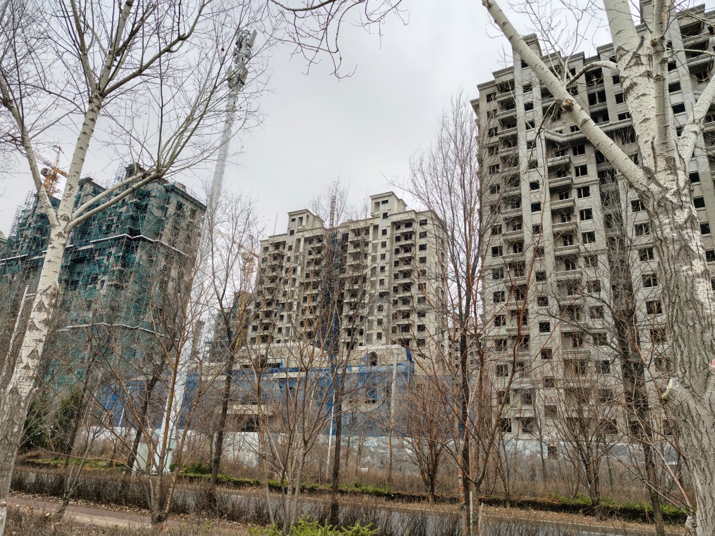 我发现哈尔滨还挺多烂尾楼的我拍的是不是？ 