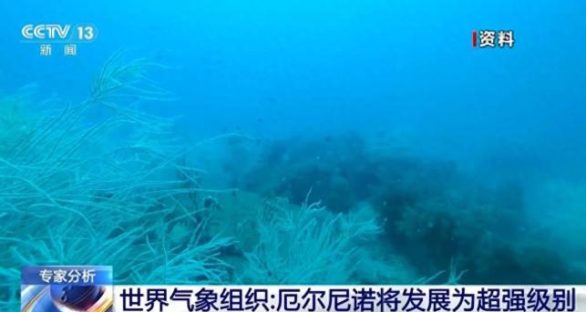 英国政府要求民众提前存粮存水，呼吁家家户户储备罐头食品，为国家紧急情况做好准备，