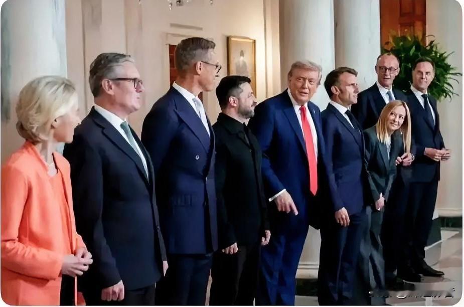 特朗普执政再掀波澜！欧盟内部态度分裂愈发凸显
 
特朗普正式就任美国总统后，其一