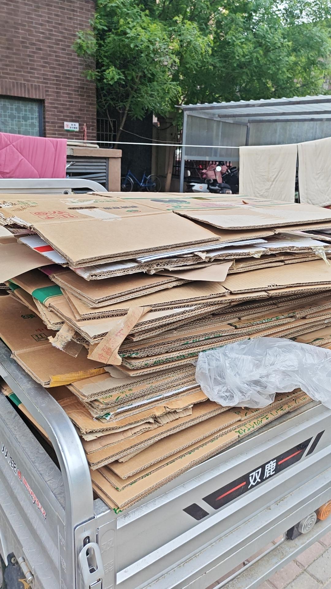 稳赚不赔的买卖叫儿子给干了，
前几年店里攒的纸板，都是我去买的，2026年过了春