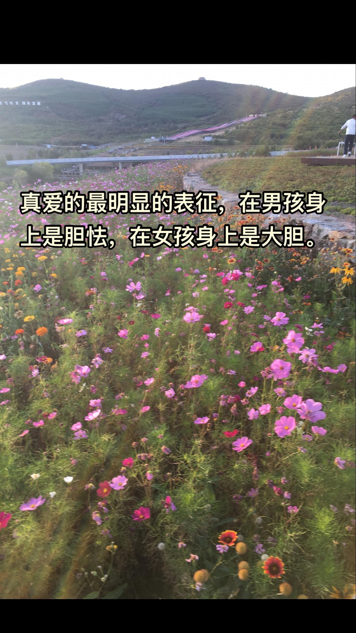 片叶不沾身