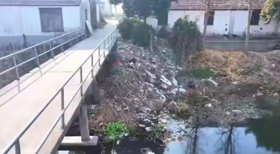 盐城一地服务外包后，环境反而不如从前了，服务费到底服务了谁？
市民反映

东台市