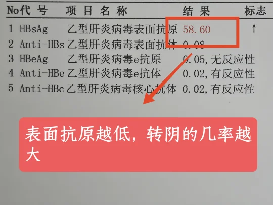 乙肝表面抗原越低，转阴的几率约大