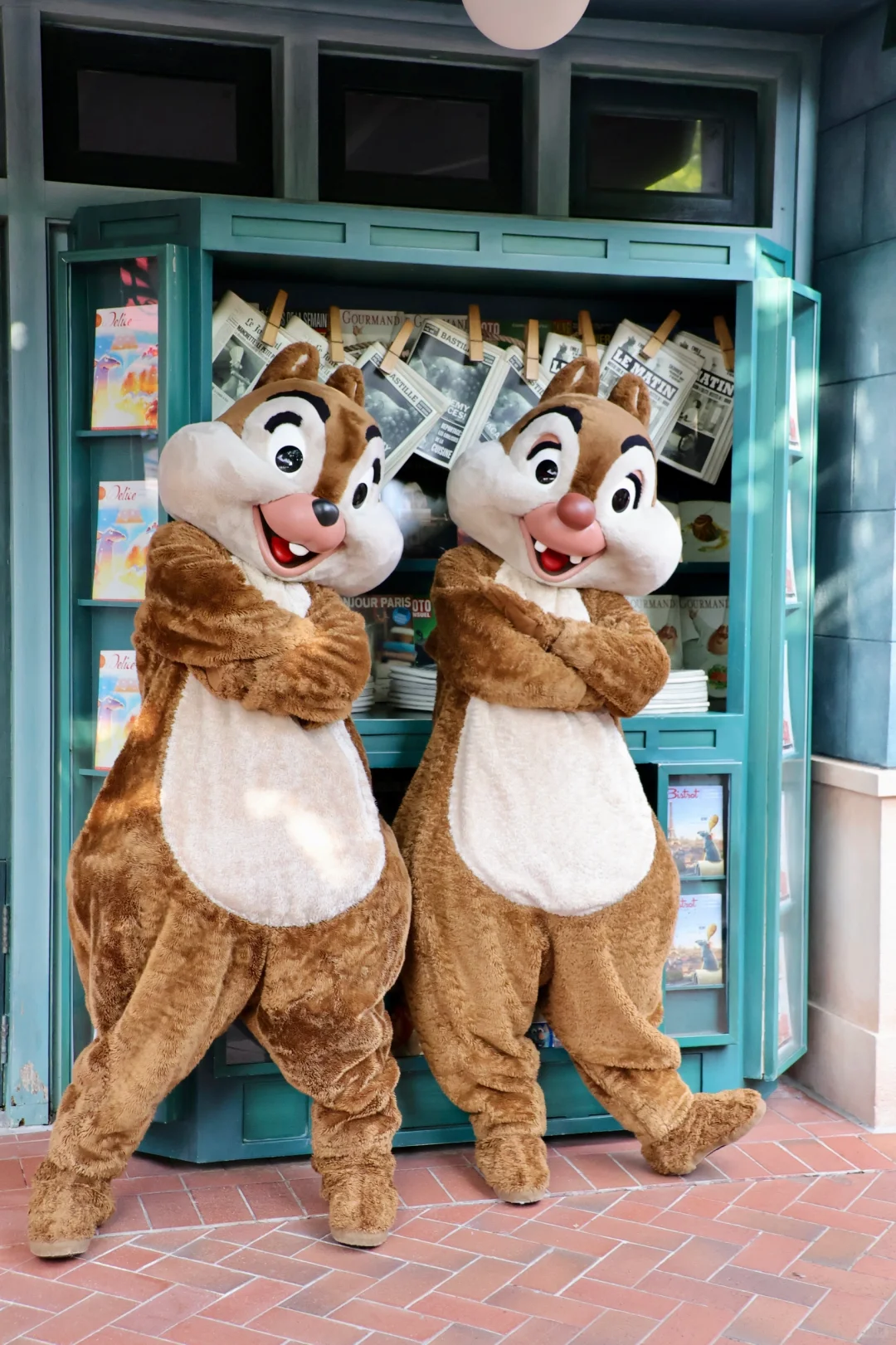 ❤️奇奇蒂蒂日常❤️帅帅de花栗鼠