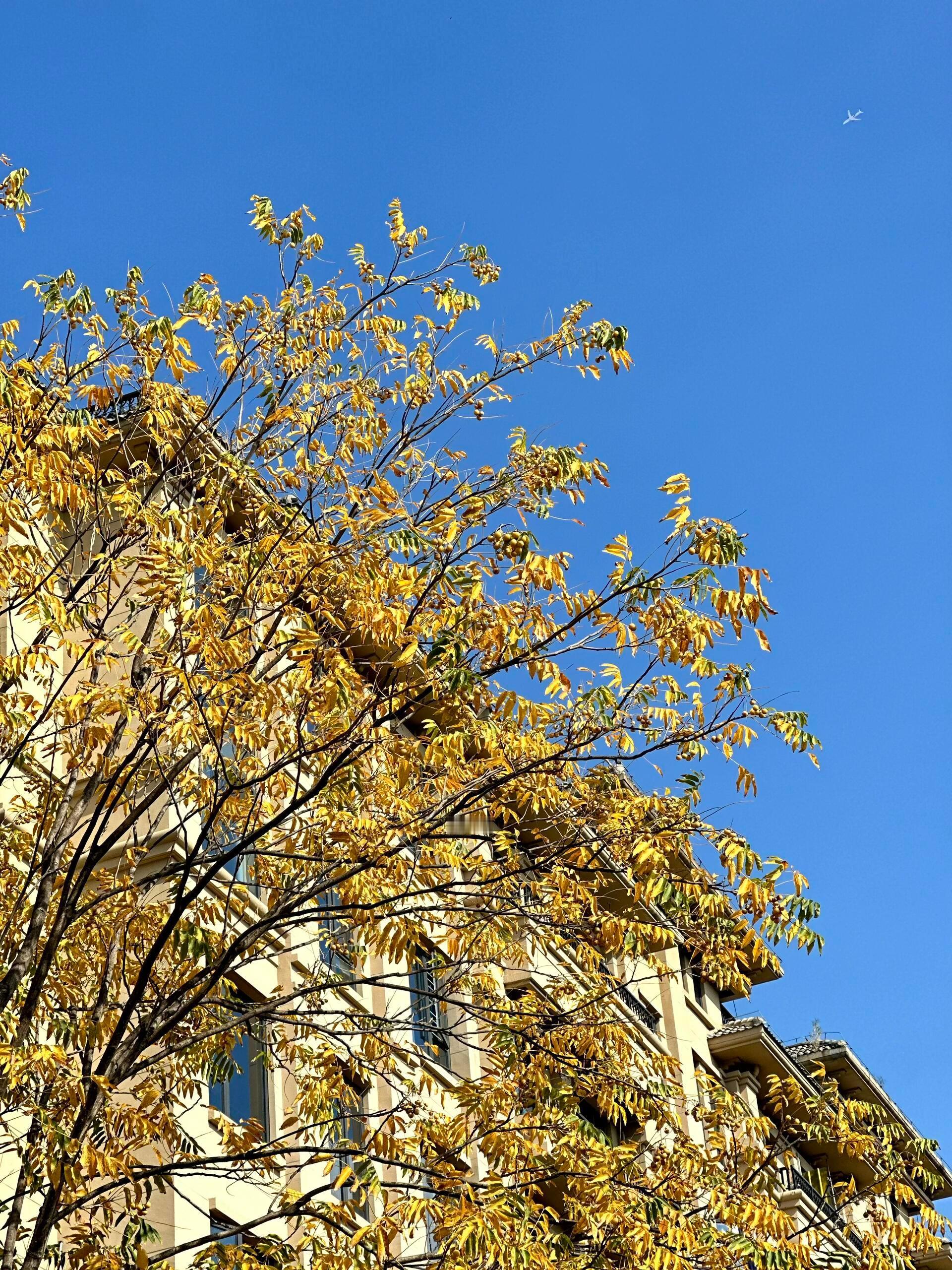 🌿꡴🎧 ıllıııl🔆~☁︎当太阳升起时就把昨天忘记 