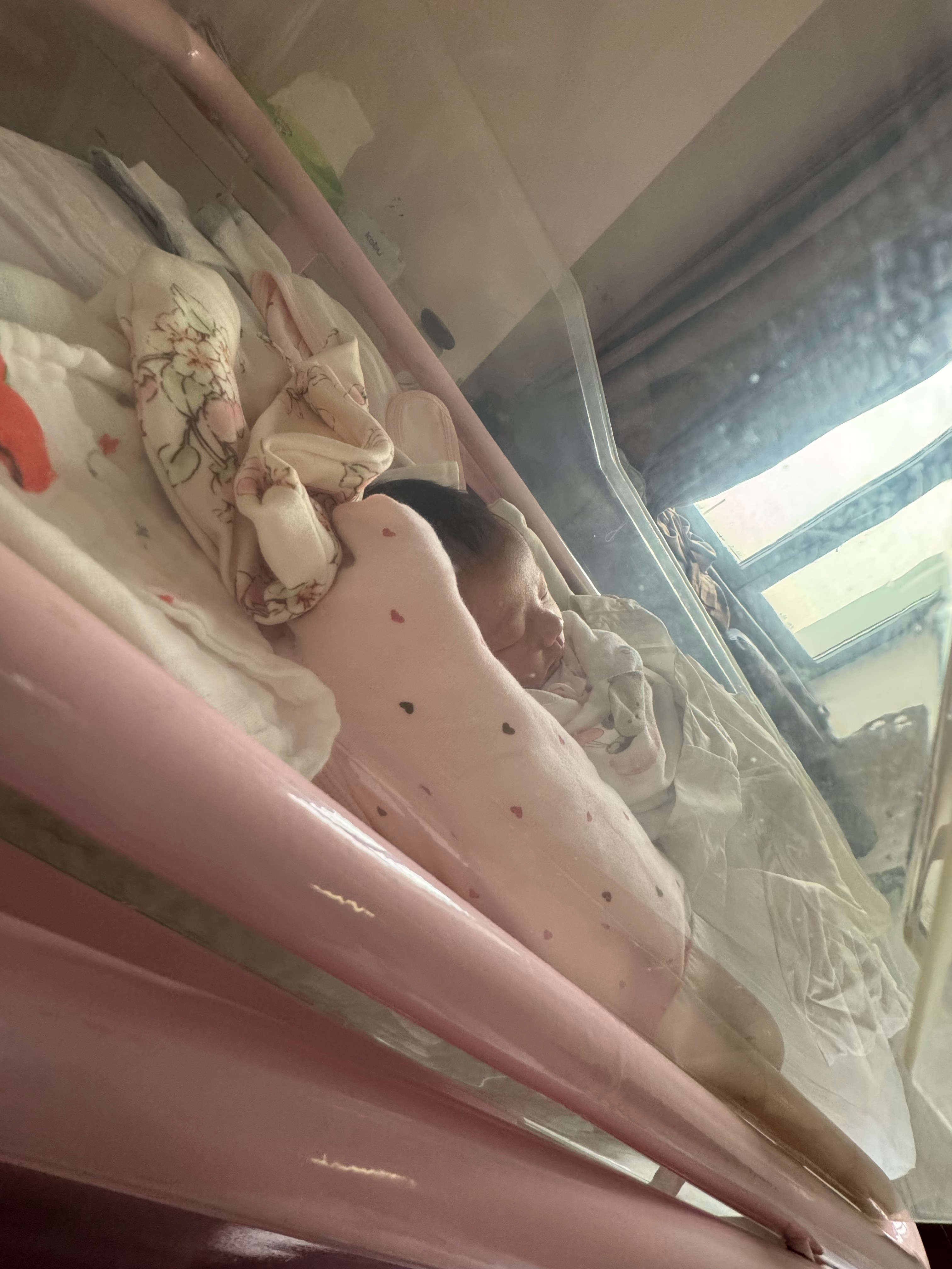 从肚子里就胎动不明显的宝宝，出生果然是天使宝宝👶🏻，太乖啦 
