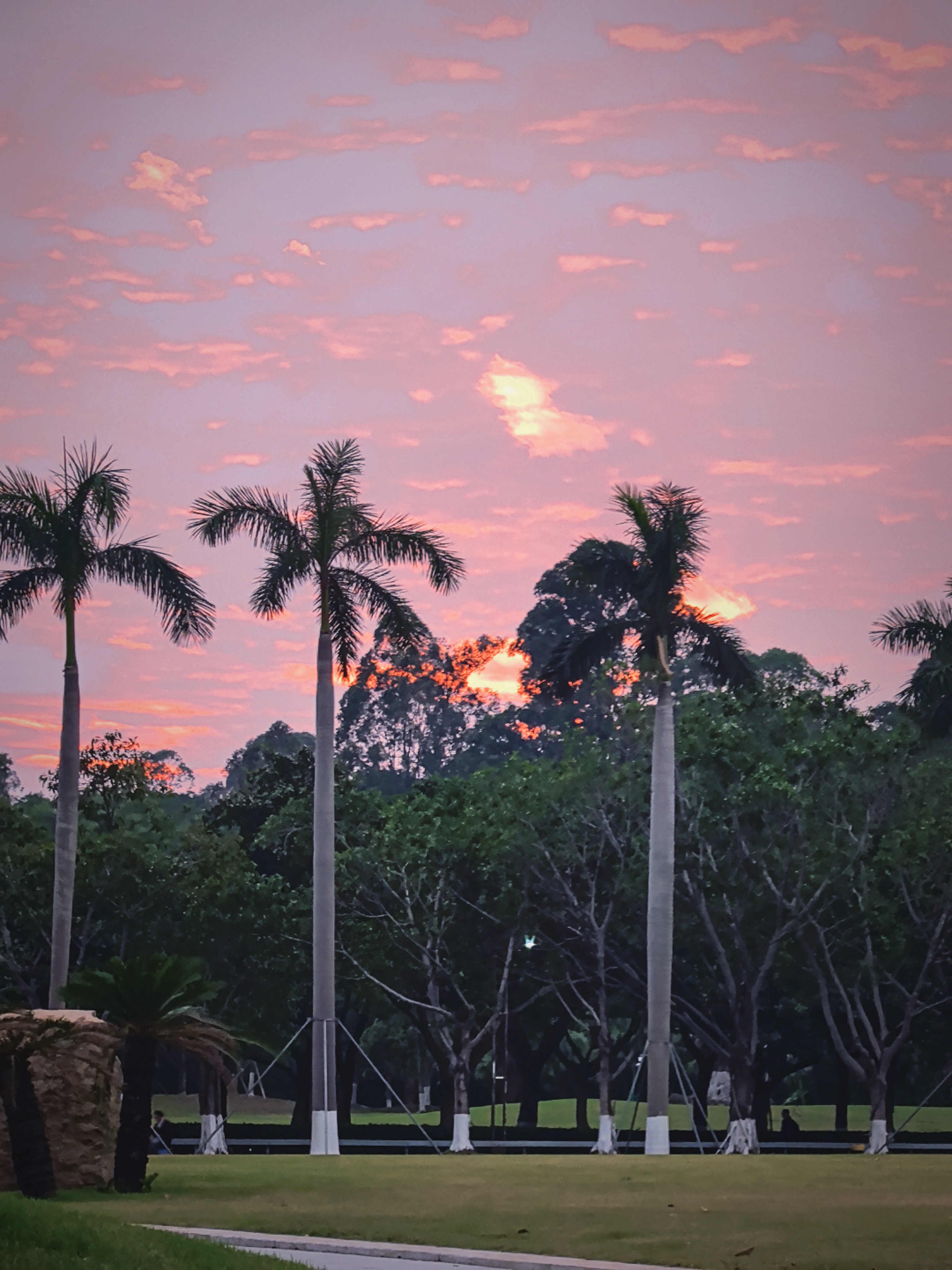 今晚超级棒的晚霞～ 