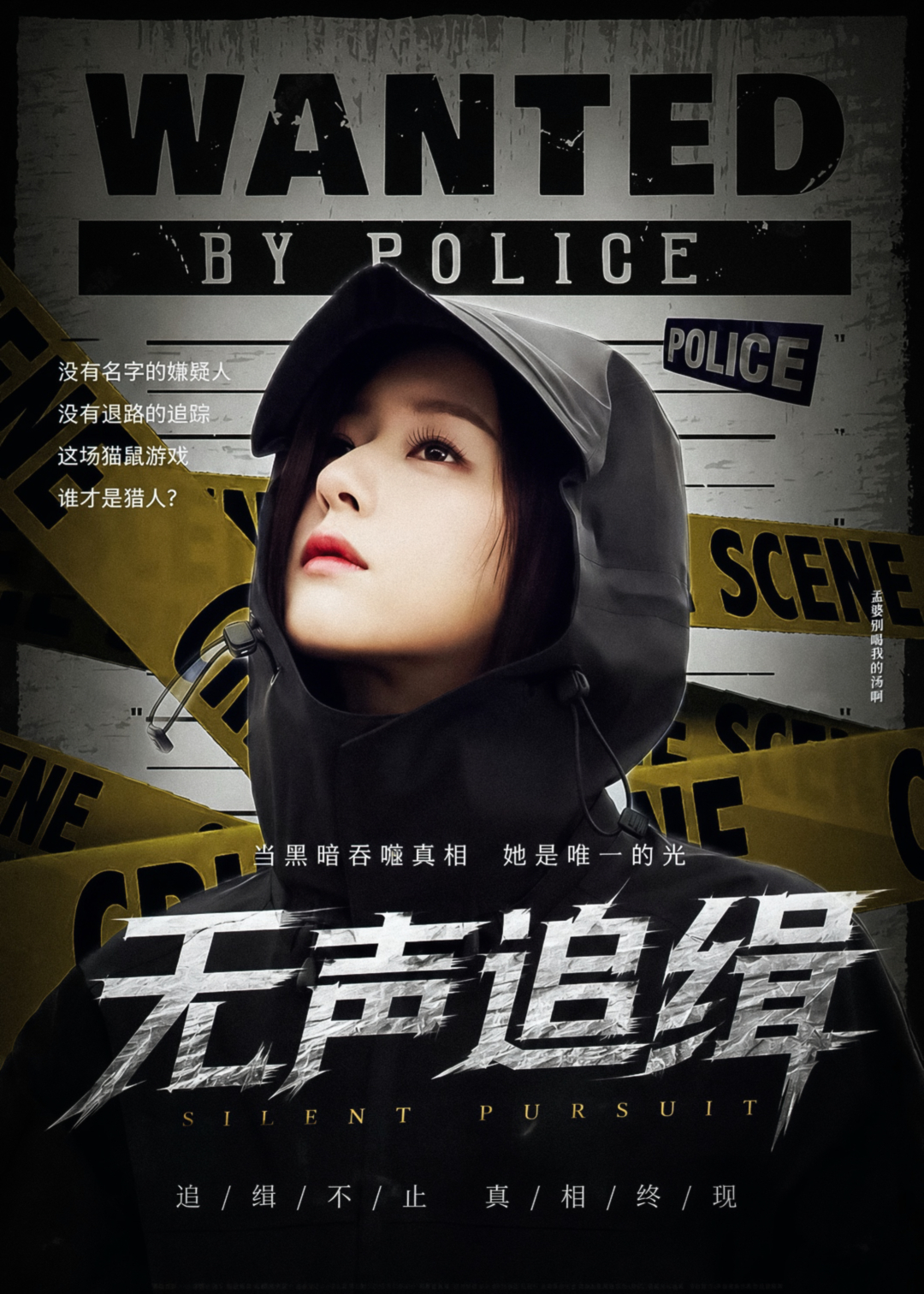 《无声追缉》有人说。真正危险的人，不会逃。她也这么认为。所以，她从未跑过。⸻城市