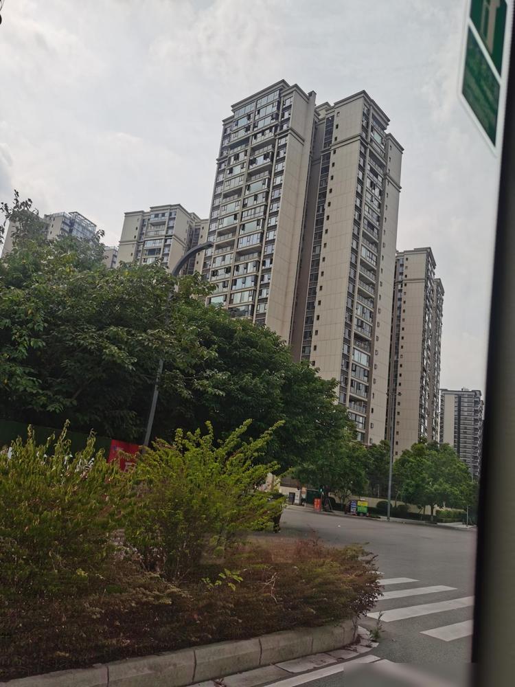 安徽一对双胞胎，哥哥高考查分698，弟弟697。

我作为给娃砸过四万多补课费的