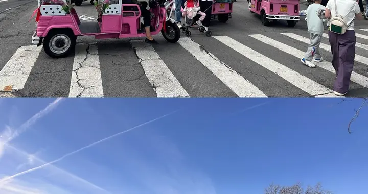 壹点调查|清爽多了！假期首日趵突泉大明湖周边不见“花车”