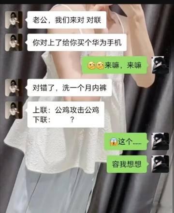 上联：公鸡攻击公鸡下联：   ？ ​​​