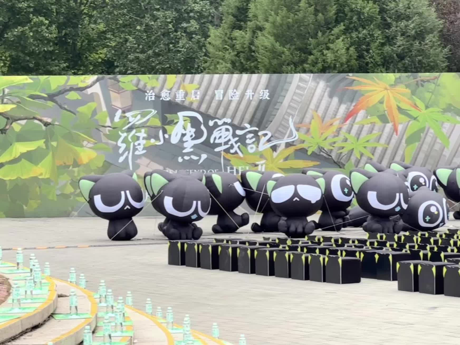 谁懂！在朝阳公园拍到好多罗小黑