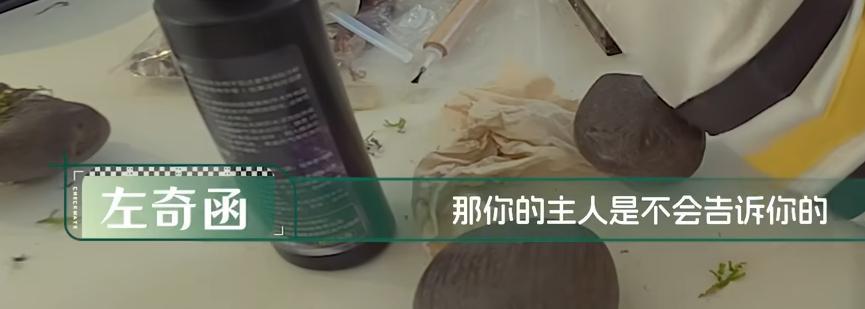 我现在猛然惊醒。左奇函那天不会真的生吃了蘑菇吧？不然咋能说出“主人”这个词的 