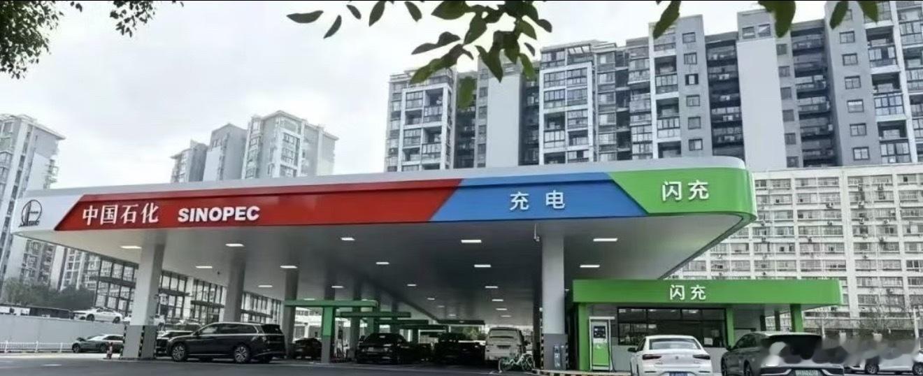 以后加油站都应该叫油电站