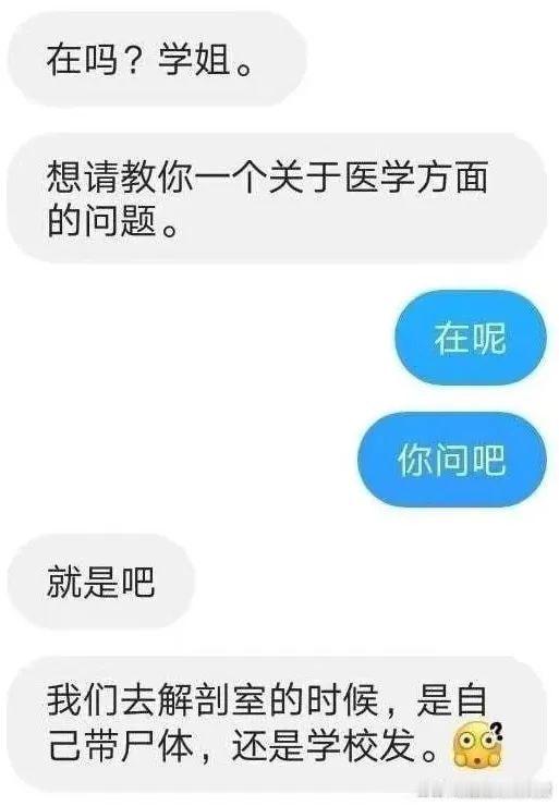 这个问题问完我感觉大脑褶皱都被抚平了 迷惑行为大赏 ​​​