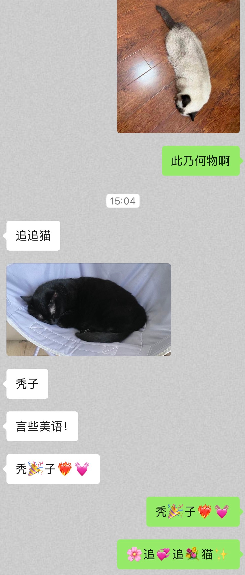 分享图片 