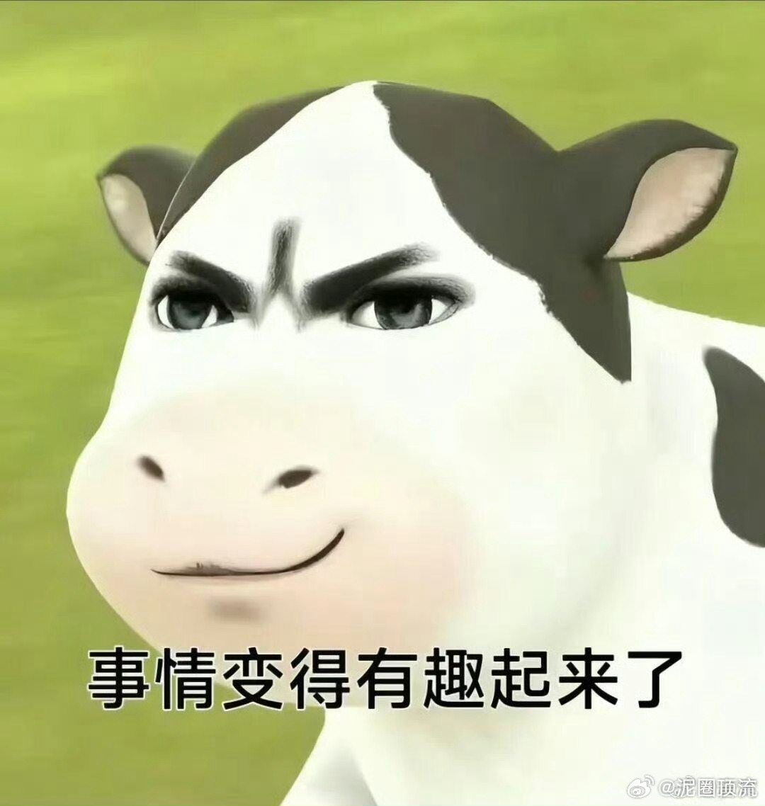 今年是屁股元年吗[微笑]不要再让我看屁股了[卡皮巴拉] ​​​
