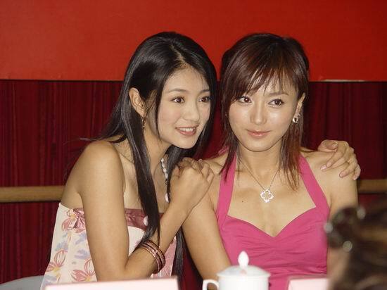 安以轩秦岚2005年，电视剧《中华英雄》在上海举行媒体见面会，两位主演安以轩和秦