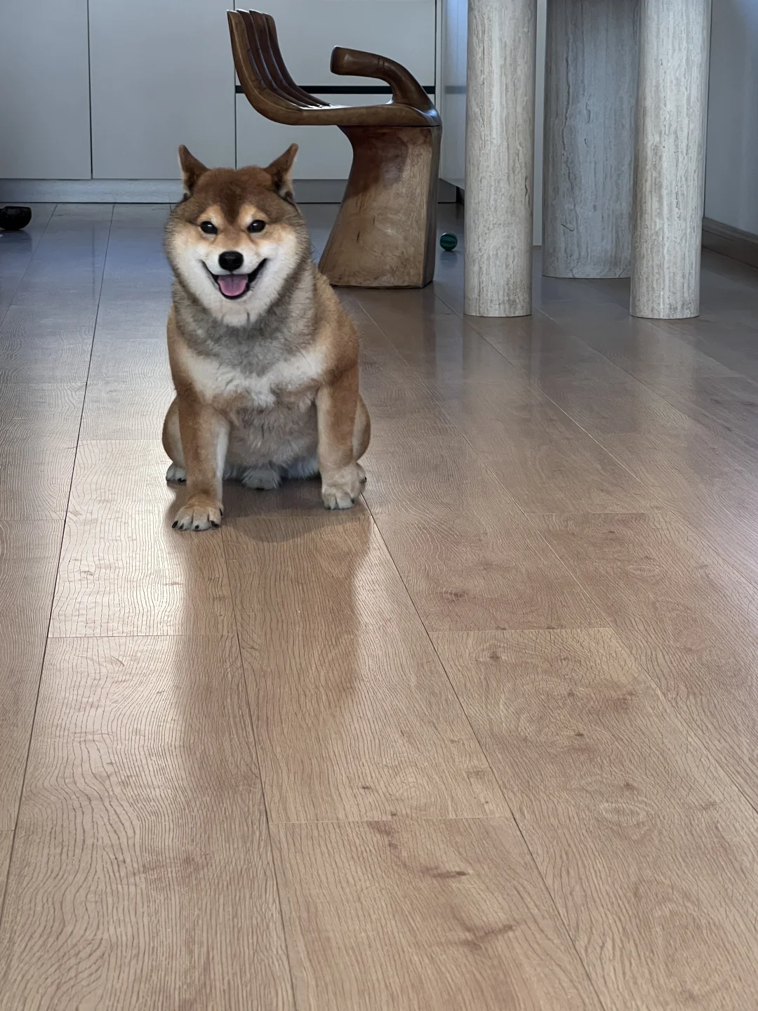 给大家表演个劈叉～