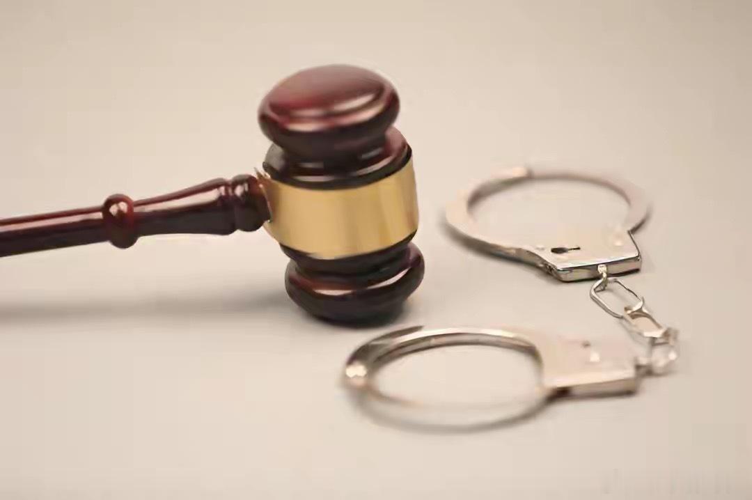 盗窃时被狗撕咬致死，狗主人愿赔偿四万被拒绝，家属索赔66万！没想到法院会这样判决
