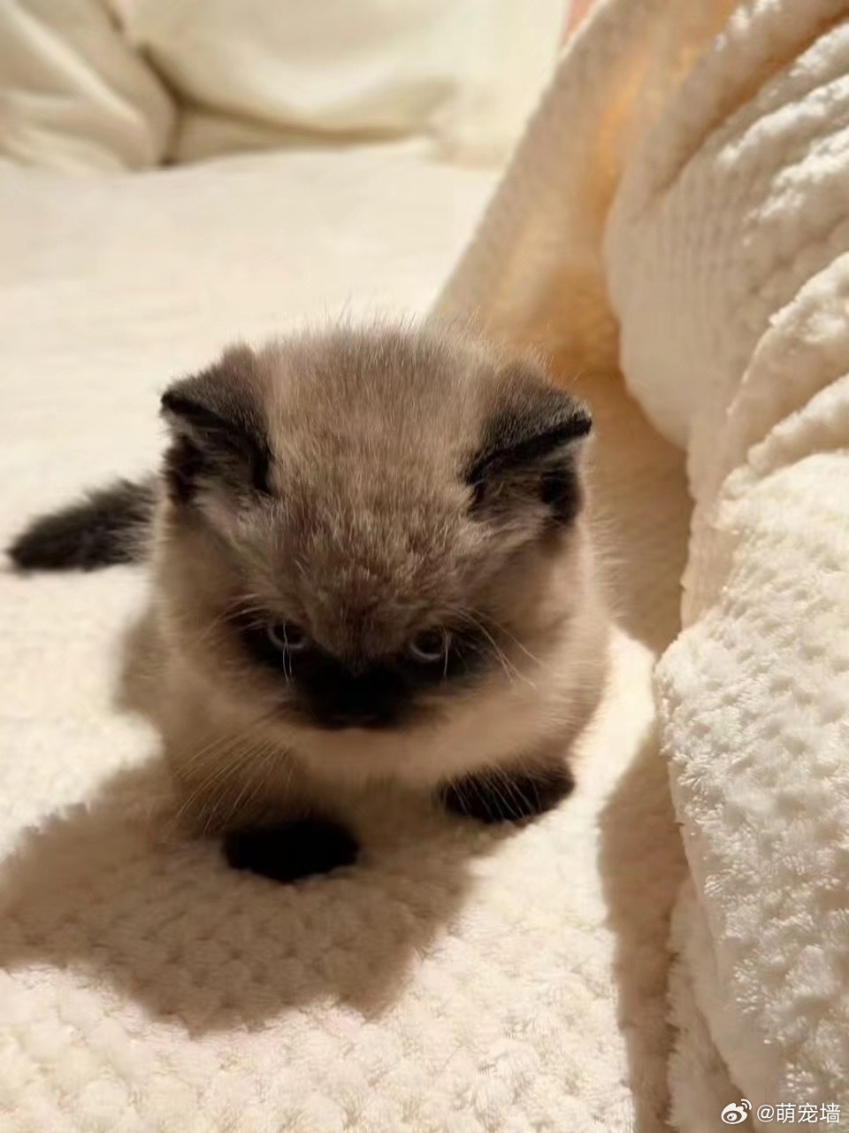 黑着个小脸给谁看 