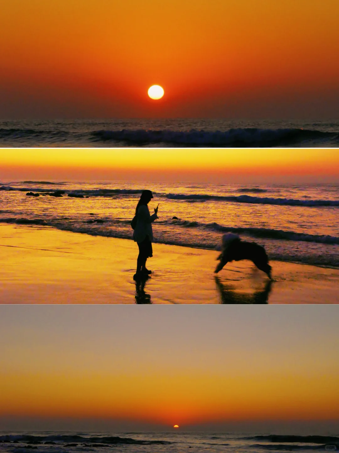 终于和带我的小狗看了一次完美日出🌅