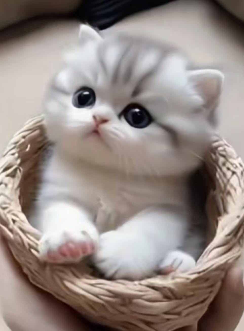 周四早盘点评
 
周四早盘大盘虽说还是震荡整理的走势，但市场资金的承接力是真的超