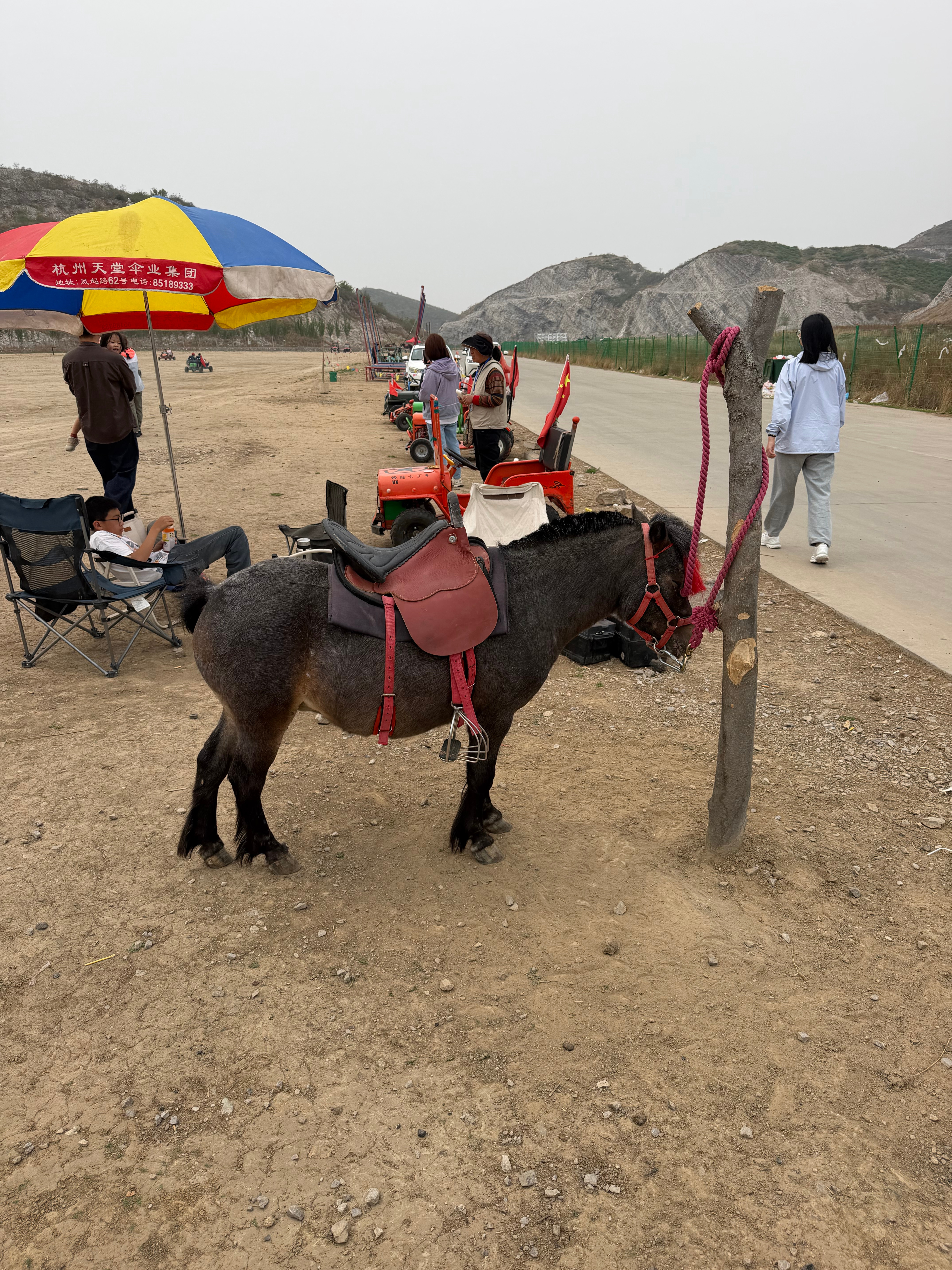 真正的牛马，也很累